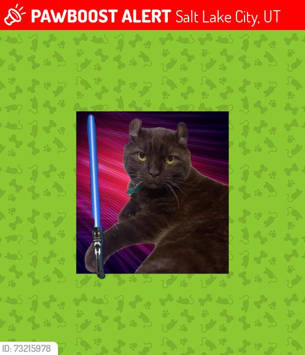 Lost Male Cat last seen Near Jolly’s and Emigration Market, Salt Lake City, UT 84108