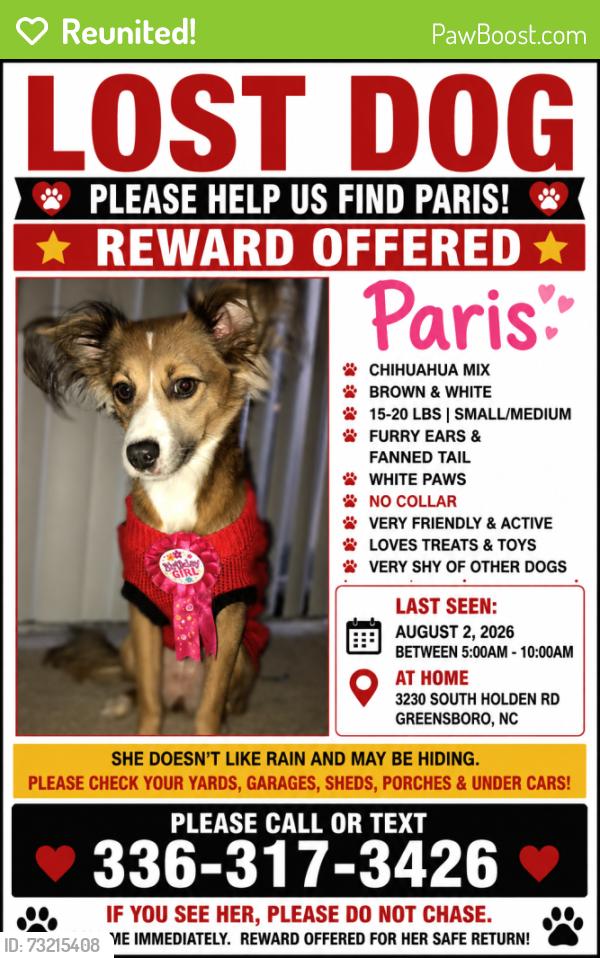 Reunited Female Dog last seen South Holden road, Greensboro, NC 27407