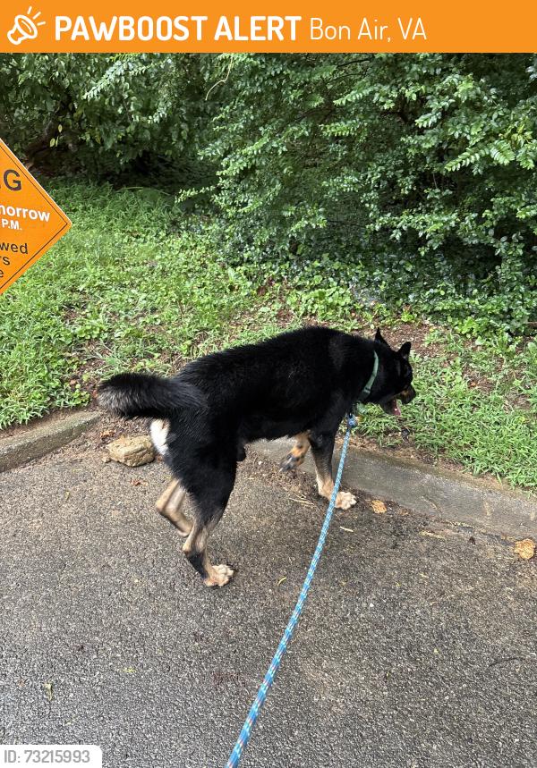 Found/Stray Male Dog last seen Groundhog dr, Bon Air, VA 23235