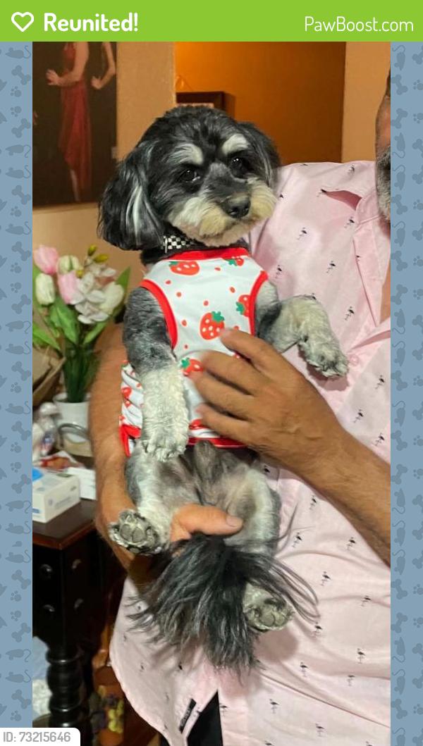Reunited Male Dog last seen Tyler st. & River Bottom, Riverside, CA 92501