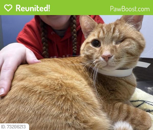 Reunited Male Cat last seen Copper creek neighborhood, Fort Wayne, IN 46845