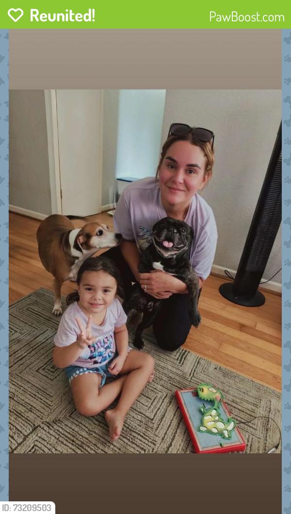 Reunited Male Dog last seen Near Kerry Dr, Corpus Christi, TX 78413