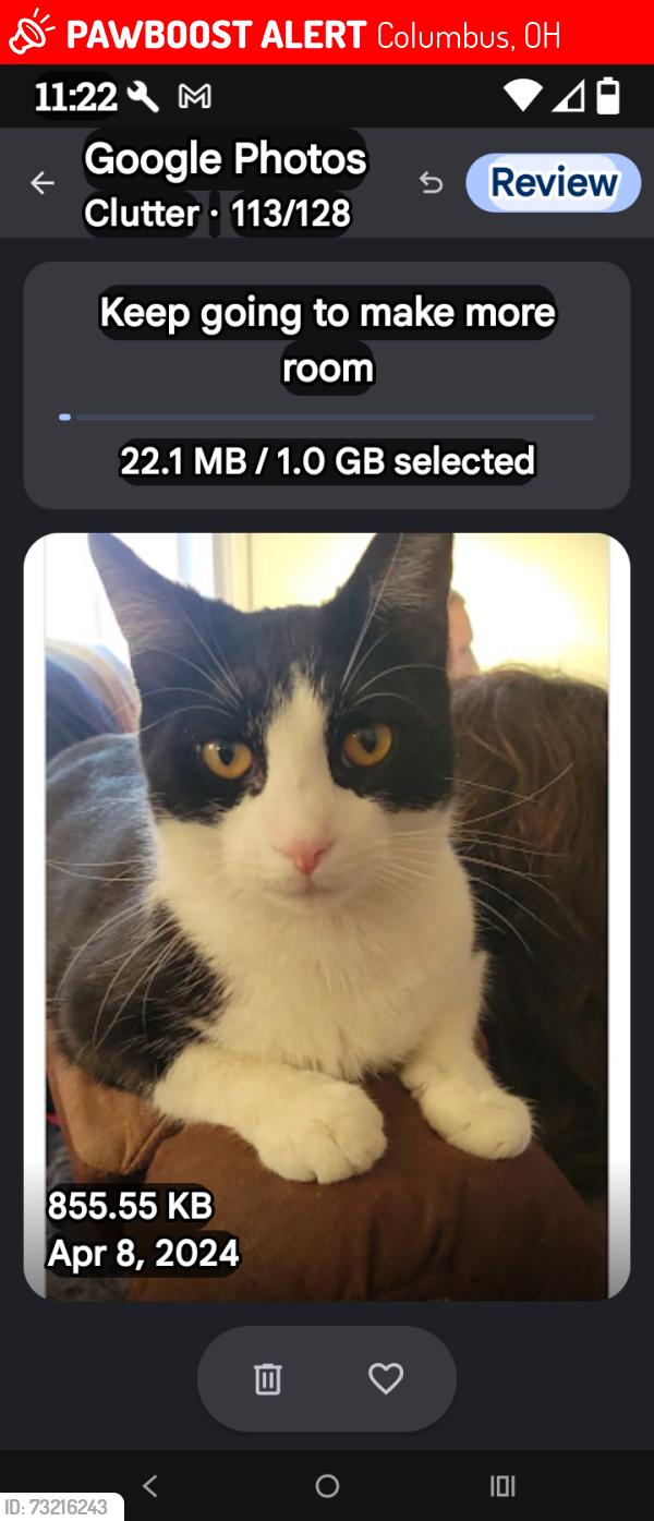 Lost Male Cat last seen N 4th st and 19th railroad tracks, Columbus, OH 43201