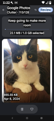 Lost Male Cat last seen N 4th st and 19th railroad tracks, Columbus, OH 43201