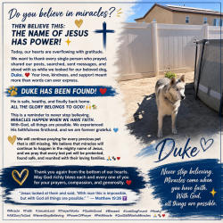 Reunited Male Dog last seen Aster rd and Barlett, Adelanto, CA 92301