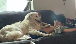 Lost Male Dog last seen Hughes Springs in town, Hughes Springs, TX 75656