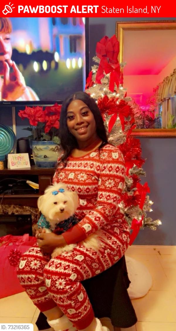Lost Female Dog last seen Glen, Staten Island, NY 10301
