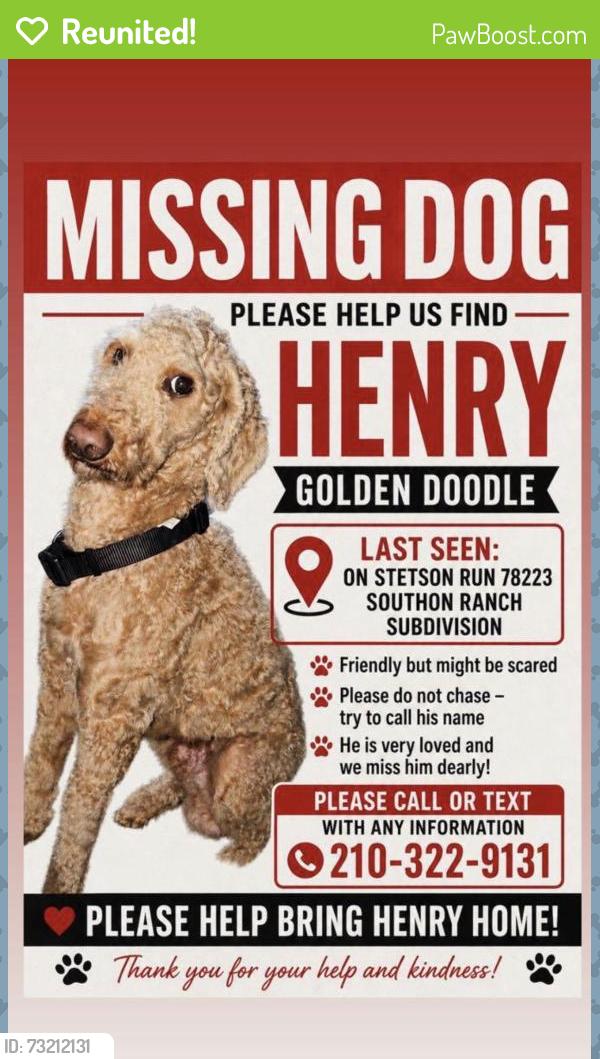 Reunited Male Dog last seen Stetson run, San Antonio, TX 78223