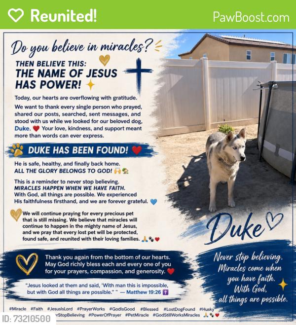Reunited Male Dog last seen Aster rd and Barlett, Adelanto, CA 92301