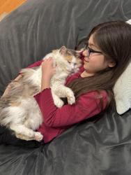Lost Female Cat last seen Riverwood, Evans, GA 30907