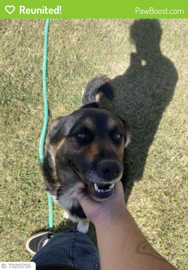 Reunited Male Dog last seen Not sure, Lawrenceville, GA 30044