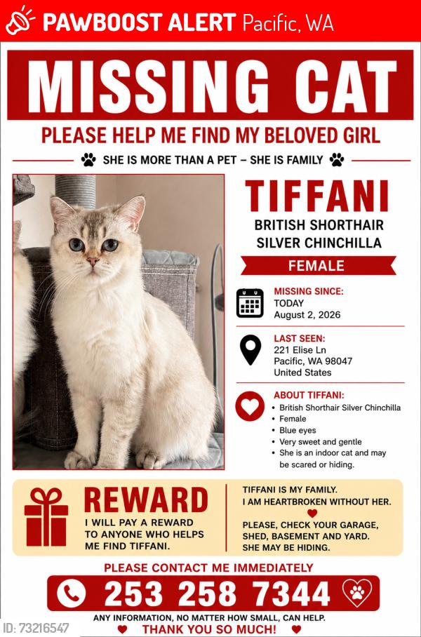 Lost Female Cat last seen Pacific, Pacific, WA 98047