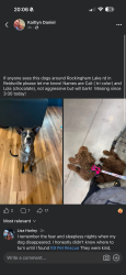 Lost Female Dog last seen Rockingham lake rd, Reidsville, NC 27320
