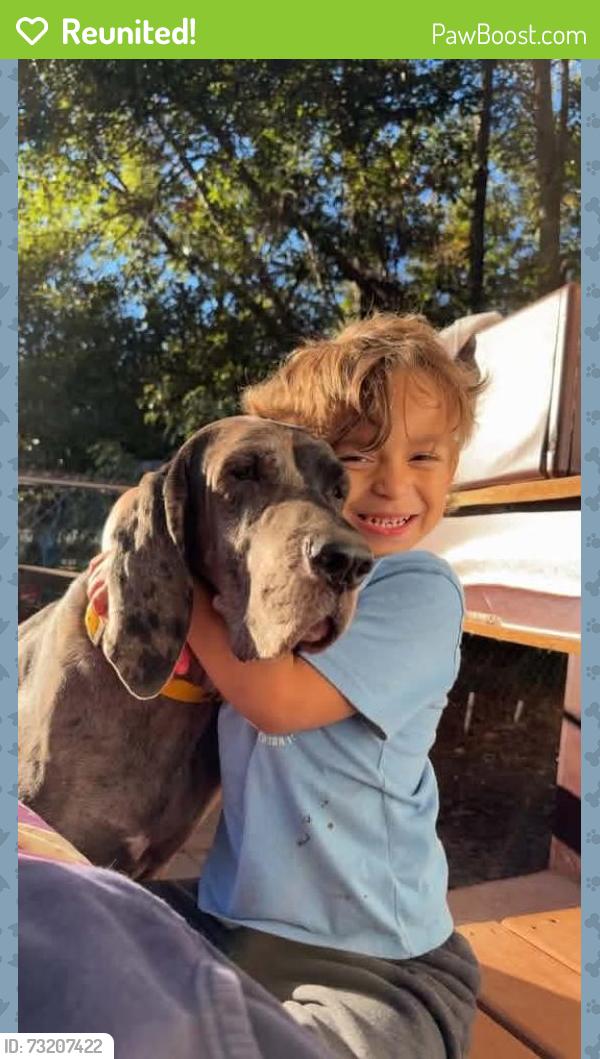 Reunited Female Dog last seen Cleveland Ave and Cecil St, Irvington, AL 36544