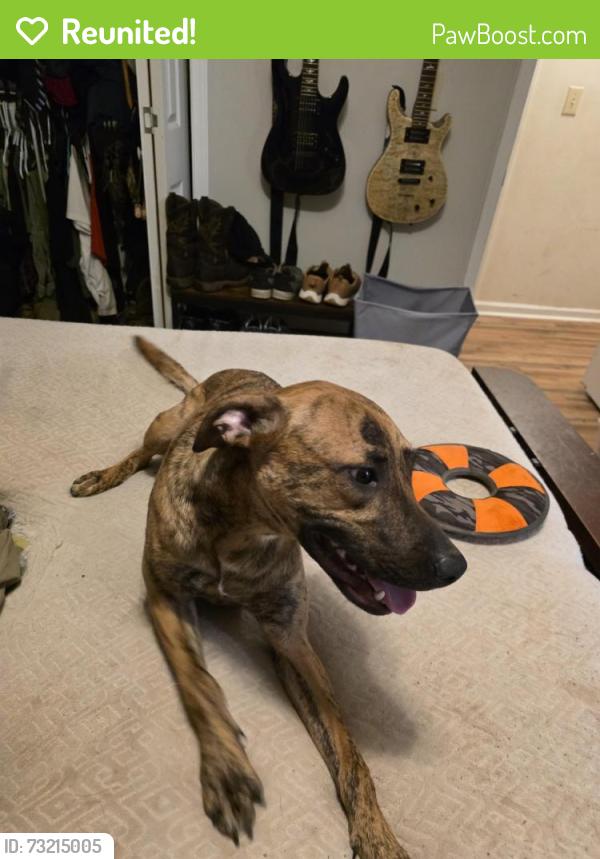 Reunited Male Dog last seen Creek ridge, winterville, ga, 30683, Oglethorpe County, GA 30683