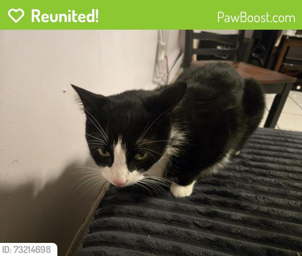 Reunited Male Cat last seen Riverview park, Jersey City, NJ 07307
