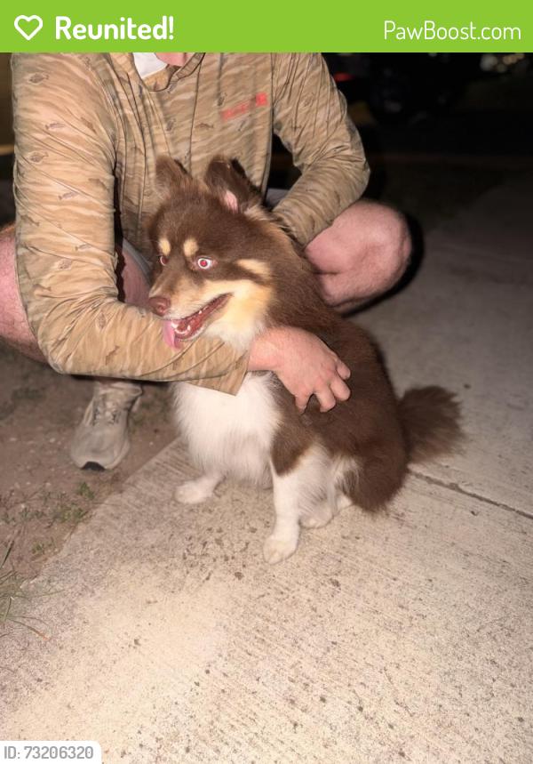 Reunited Male Dog last seen Laurel Pass / Lookout Canyon Creek / Overlook Pky / Canyon Golf, San Antonio, TX 78260