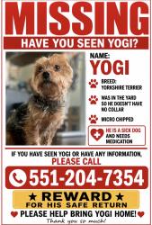 Reunited Male Dog last seen E 40th St, Paterson, NJ, USA, Paterson, NJ 07504