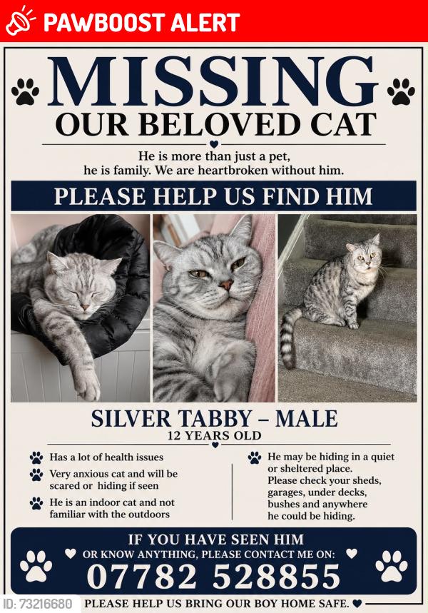 Lost Male Cat last seen bromford road, West Yorkshire, England BD4 7RE
