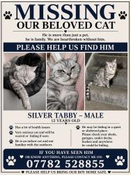 Lost Male Cat last seen bromford road, West Yorkshire, England BD4 7RE
