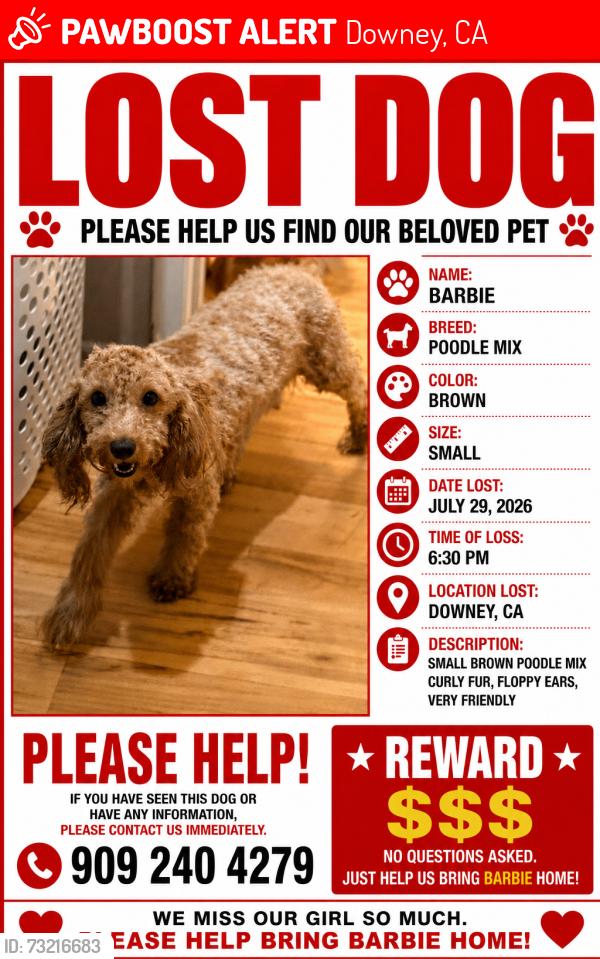 Lost Male Dog last seen between suva and Horley downey, Downey, CA 90240