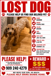Lost Male Dog last seen between suva and Horley downey, Downey, CA 90240