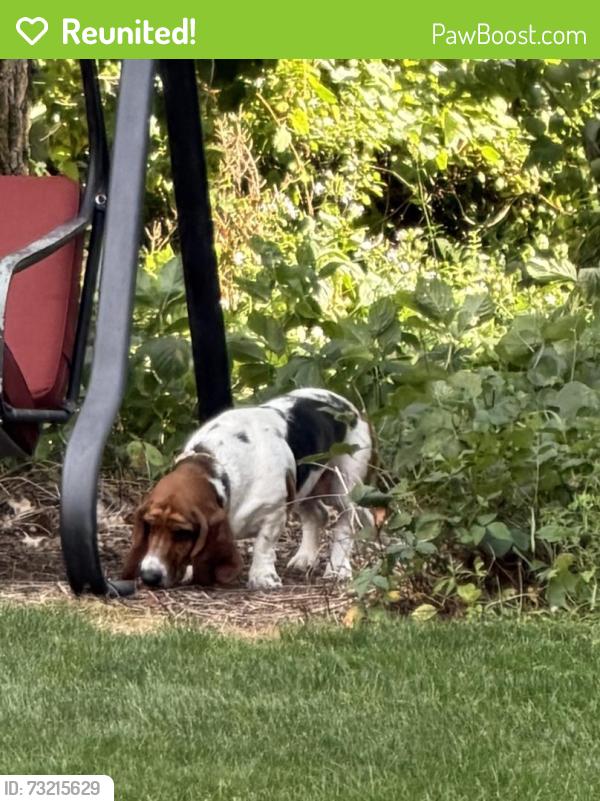 Reunited Female Dog last seen Goldenview Dr, Battle Creek, MI 49014