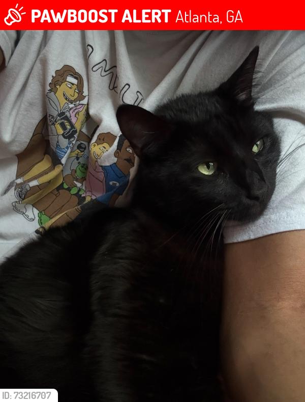 Lost Male Cat last seen Howell mill/collier rd, Atlanta, GA 30318