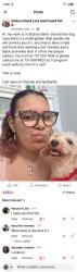 Lost Female Dog last seen Cassidy place and Lafayette, Staten Island, NY 10301