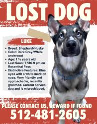 Reunited Male Dog last seen Near Commander Dr, San Antonio, TX 78252, USA, San Antonio, TX 78252