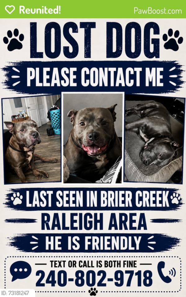 Reunited Male Dog last seen Crest at Brier Creek apmts, Raleigh, NC 27617