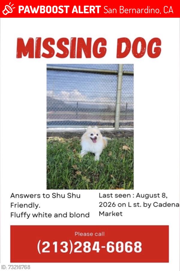 Lost Female Dog last seen L street, San Bernardino, CA 92411