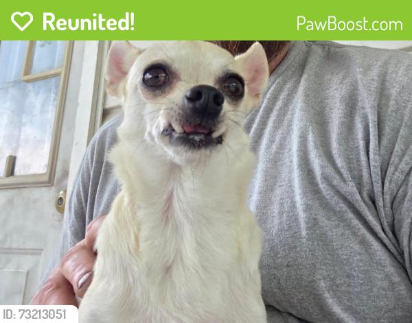 Reunited Male Dog last seen Plantarion road, Bishopville sc, Bishopville, SC 29010