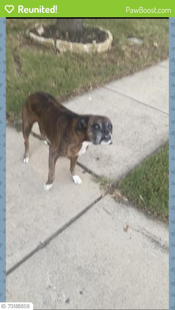 Reunited Unknown Dog last seen Smithfield and North Tarrant, North Richland Hills, TX 76182