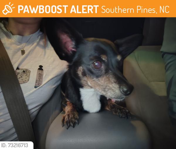 Found/Stray Male Dog last seen Pee Dee Rd, Southern Pines, NC 28387