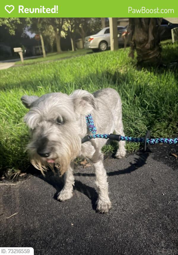 Reunited Male Dog last seen Winstom Park, Coconut Creek, FL 33073