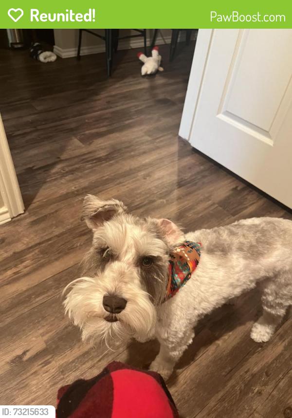 Reunited Male Dog last seen Near N Jayton Ave, Lubbock, TX 79403