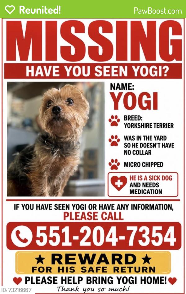 Reunited Male Dog last seen E 40th St, Paterson, NJ, USA, Paterson, NJ 07504