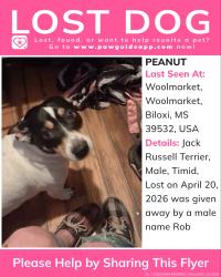 Lost Male Dog last seen Woolmarket lake road, Biloxi, MS 39532