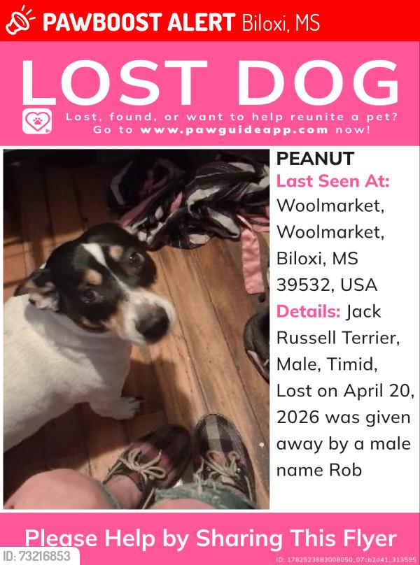 Lost Male Dog last seen Woolmarket lake road, Biloxi, MS 39532
