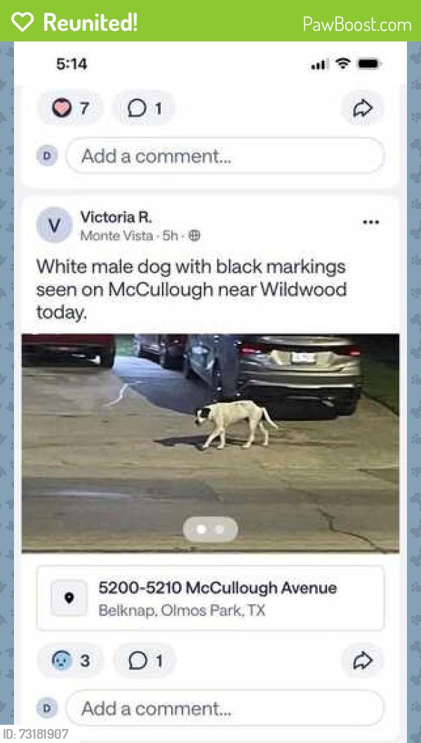 Reunited Male Dog last seen Frost Bank Center, San Antonio, TX 78202