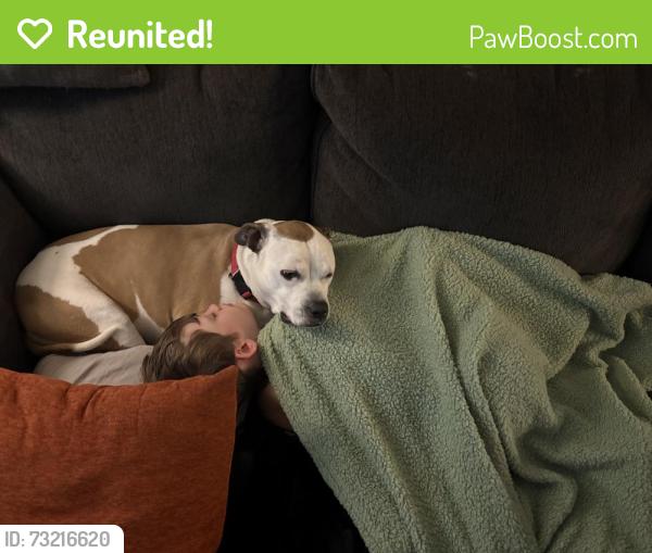 Reunited Male Dog last seen Maxwell, Newport News, VA 23606