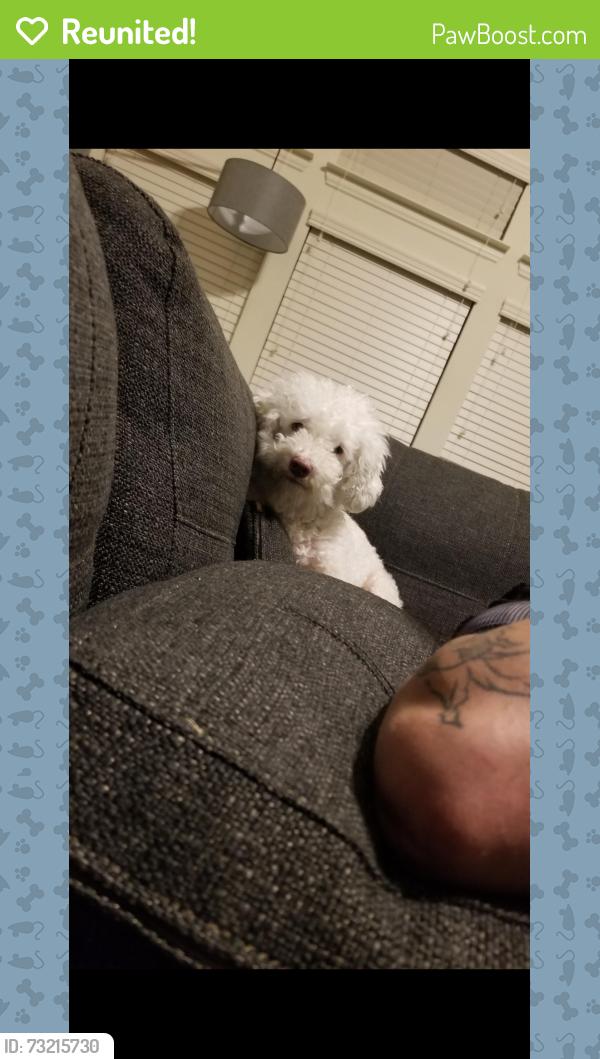 Reunited Male Dog last seen China Tree, Dallas, TX 75249