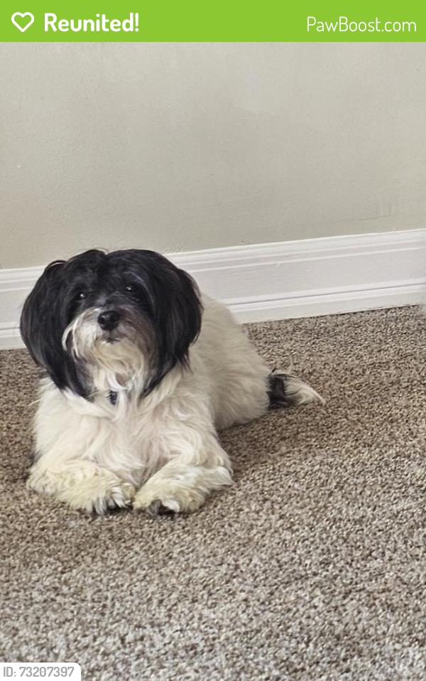 Reunited Female Dog last seen Twin Oak Animal hosp, Ellicott City, MD 21042