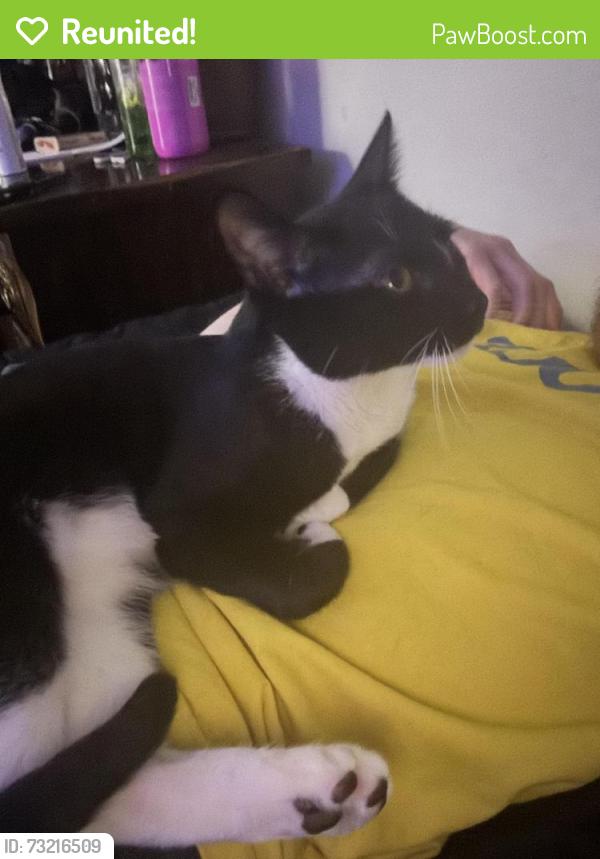 Reunited Male Cat last seen Cherry & Kentucky (Glendale), Denver, CO 80246