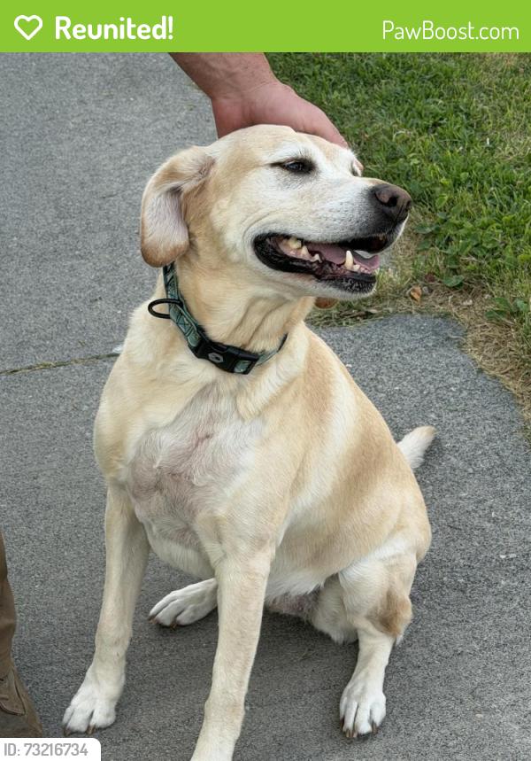 Reunited Female Dog last seen June ave and e 14th st, Idaho Falls, ID 83404