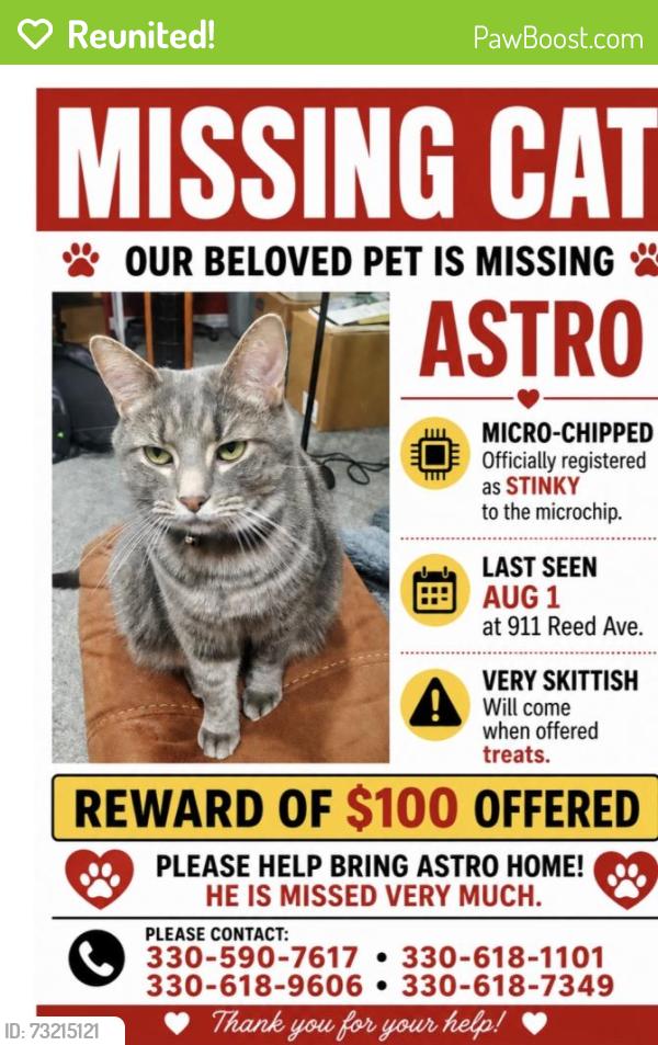 Reunited Male Cat last seen Reed Ave, Akron, OH 44306
