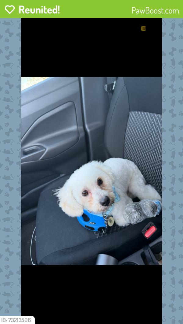 Reunited Male Dog last seen Hoglen, Covington, GA 30016
