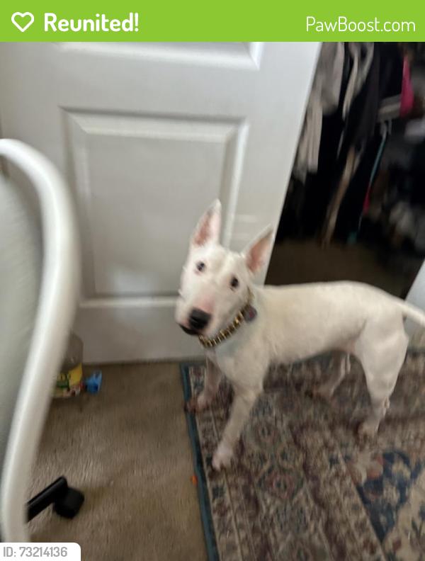 Reunited Female Dog last seen Near Doheny park rd spc 151, Dana Point, CA 92624