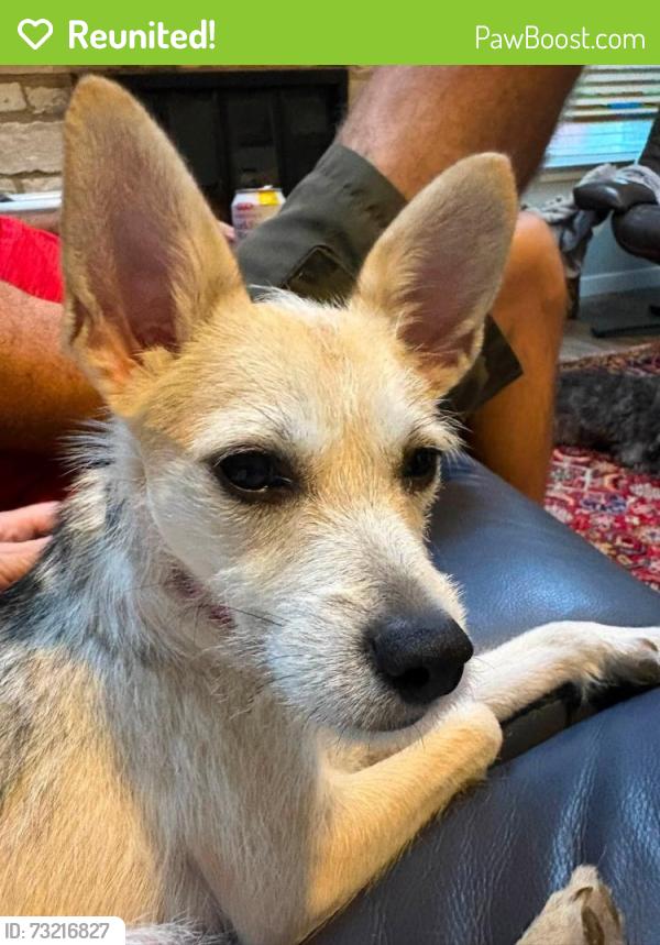 Reunited Female Dog last seen first stop onto 183 North, where the road dead ends, Austin, TX 78759